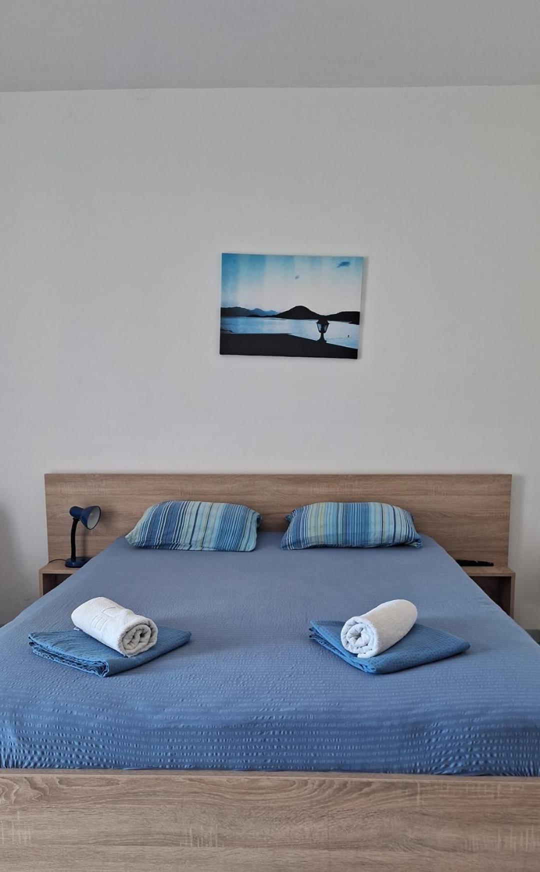 Villa Ante Apartments 블라체 객실 사진